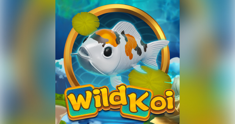 Wild Koi